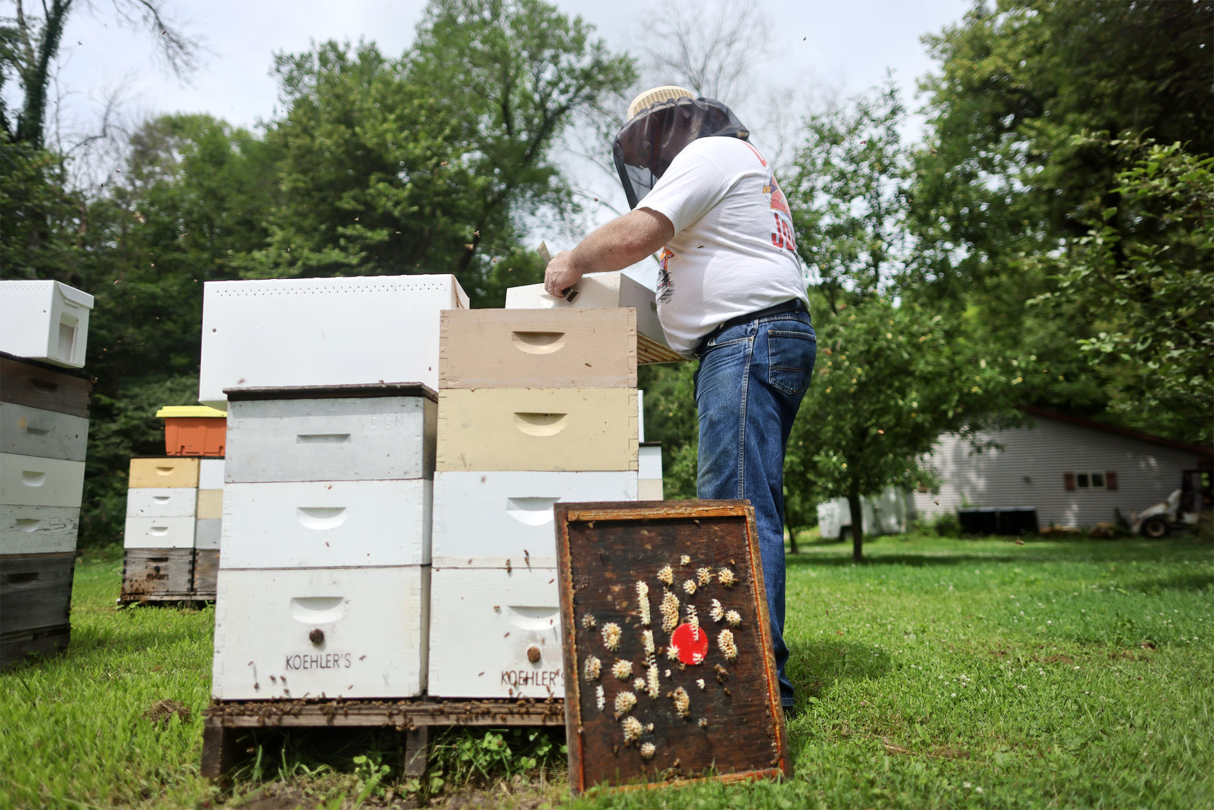 JVG_210701_BEES05